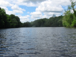 IMG 4765